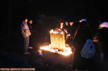 IMG_ (10339)
